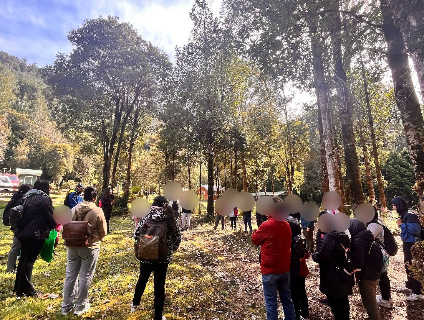 Actividad al aire libre en el bosque