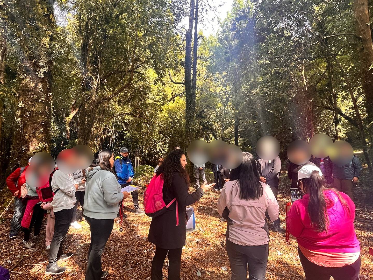 Encuentro grupal en el bosque