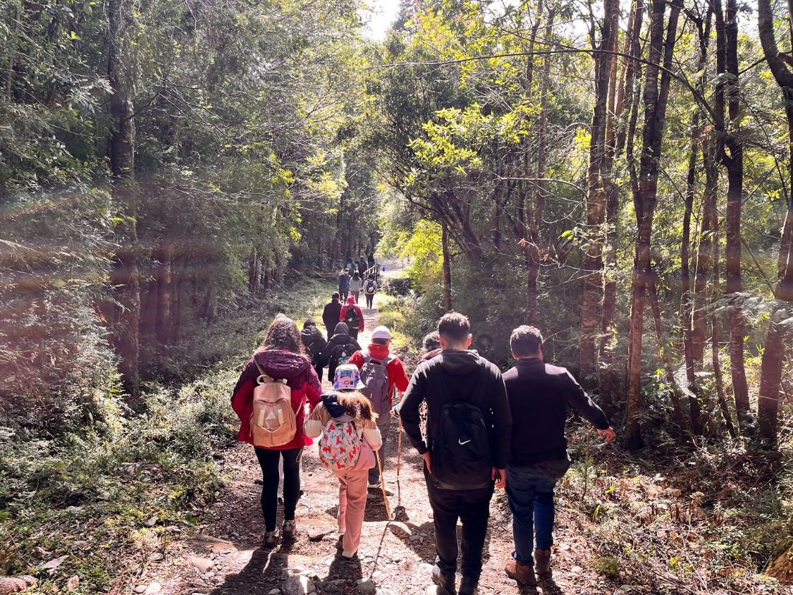 Caminata por el bosque