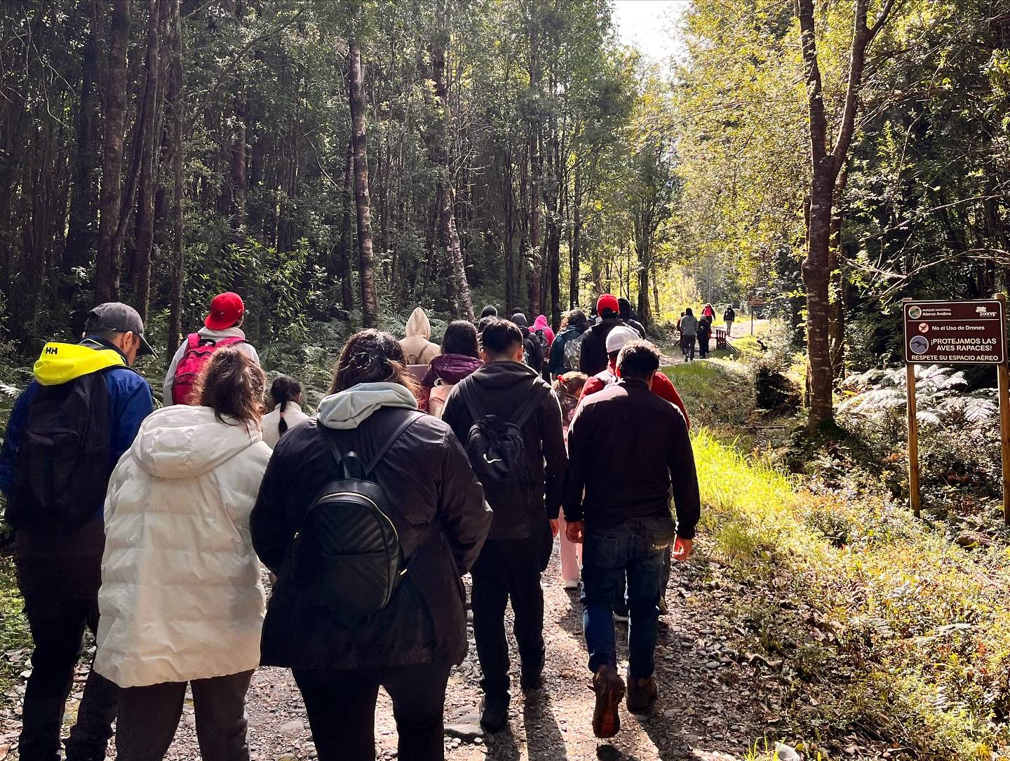 Caminata grupal por el sendero